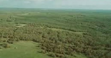 Kırklareli'de 10 Dönüm Arazi 500m2 Hayvancılık Ruhsatlı