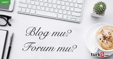 Anket: Blog mu? Forum mu?