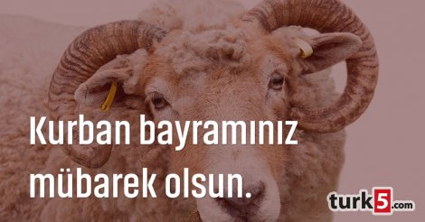 Kurban Bayramınız mübarek olsun