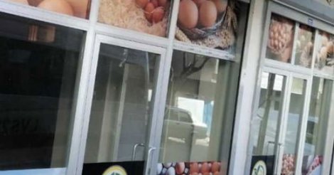Acil yumurta firmasına ortak arıyorum (İstanbul)