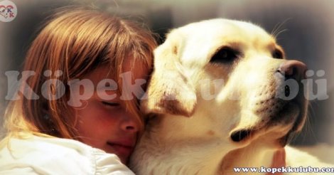 Köpek Kulübü Türkiye'nin yavru köpek üretimi satışı merkezi