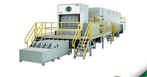 The best environmentally friendly business plan - Pulp Molding Egg Tray