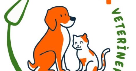 Evcil Hayvan Sahiplerinin Yeni Buluşma Noktası: Patibu Veteriner Forum