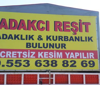 Kayseri Adaklık Kurbanlık