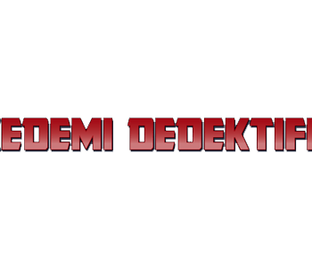 Dedektiflik Hizmetleri | Akademi Dedektiflik