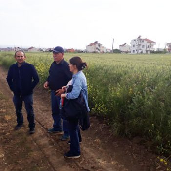 Tekirdağ Yeniçiftlik Arsa | Tekirdağ  Ergene'de uygun Arsa