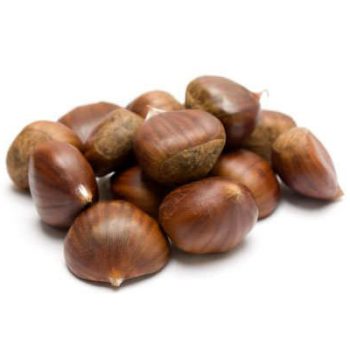 Fresh Chestnut