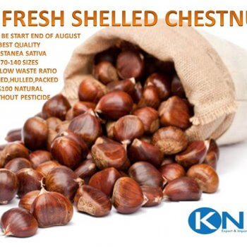 Shelled Chestnuts