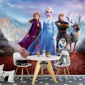 Çocuk Odası Duvar Dağıdı | Frozen