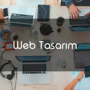 Web Tasarım