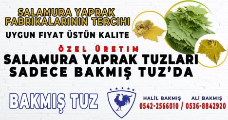 Bakmış Tuz Pazarlama Ve Oto Komisyon