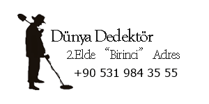 Dünya Dedektör