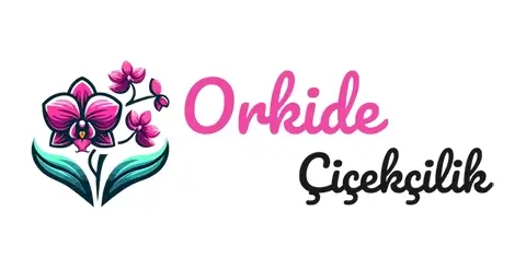 Orkide Flower Shop | Professional and Fast Florist Services