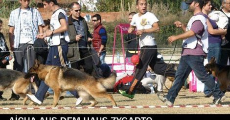 Argos Bursa Köpek Eğitim Merkezi