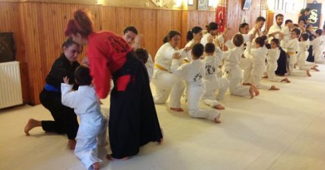 Sevgi Aikido Spor Kulübü