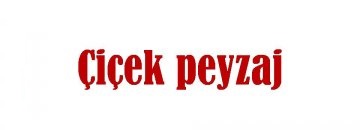 Çiçek peyzaj