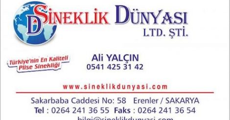 Sineklik Dünyası