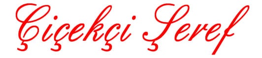 Çiçekçi Şeref
