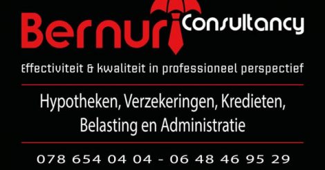 Bernur Consultancy