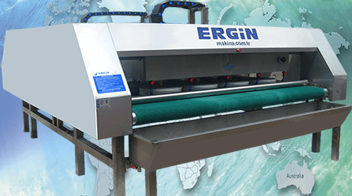 Ergin Machine