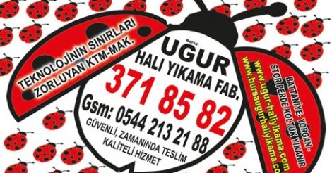 Bursa Uğur Halı Yikama Fabrikası