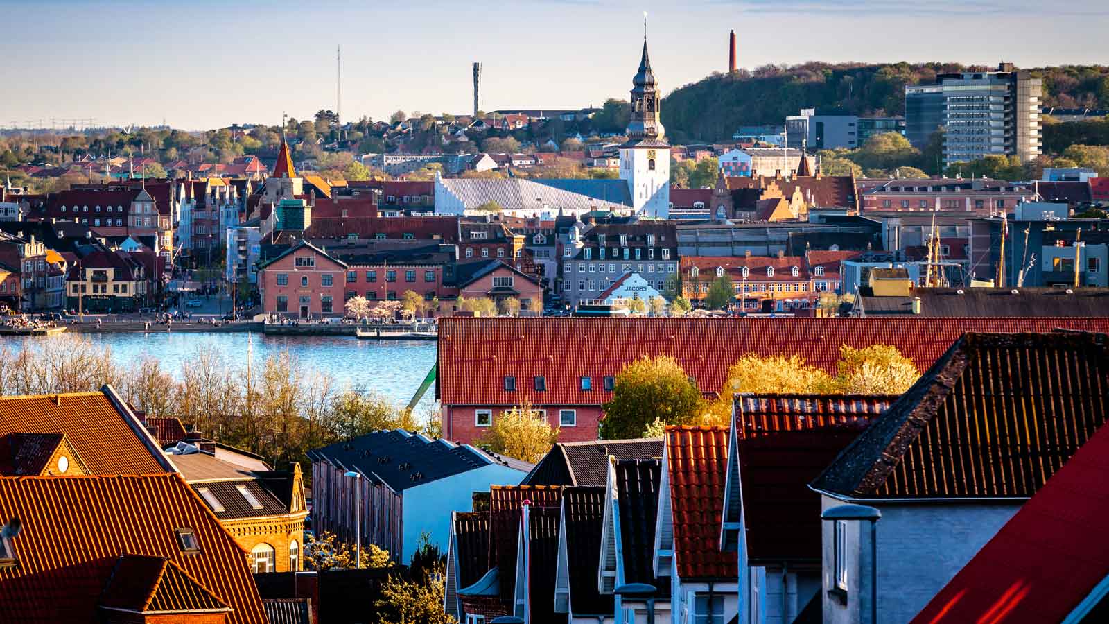 Aalborg'daki Türk Firmaları