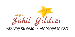 Ağva Sahil Yıldızı Otel