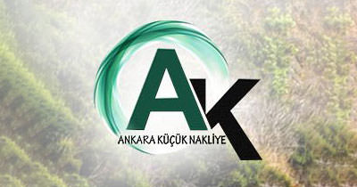 Ankara Küçük Nakliye