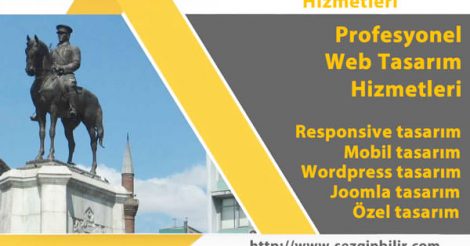 Ankara Web Tasarım Hizmetleri | Sezgin Bilir