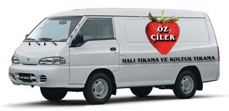 Öz Çilek Halı ve Koltuk Yıkama