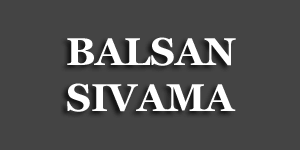 Balsan Sıvama