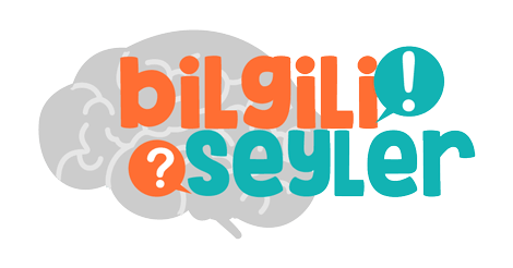 Bilgili Şeyler | bilgiliseyler.com