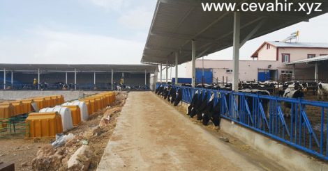 Cevahir Et ve Süt Üretim Çiftliği