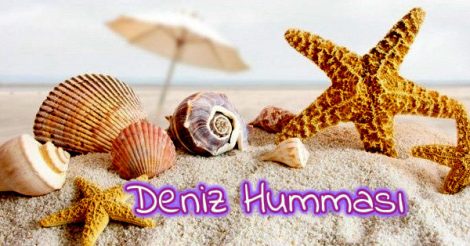 Deniz Humması - Yenilikçi Kültür Platformu