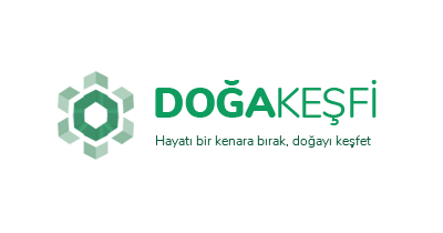 Doğa Keşfi