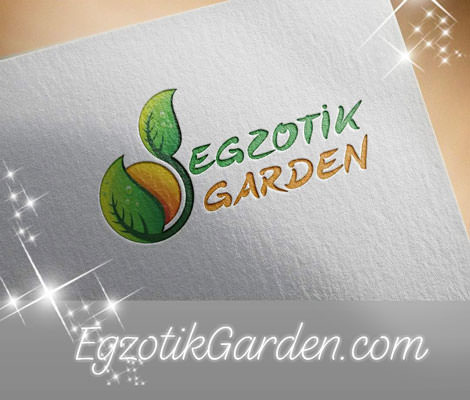 Egzotik Garden