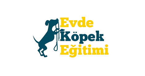 Evde Köpek Eğitimi