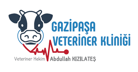 Gazipaşa Veteriner Kliniği | Abdullah Kızılateş