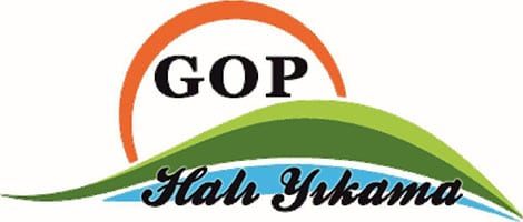 Gop Halı Yıkama