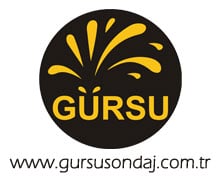 Gürsu Sondaj