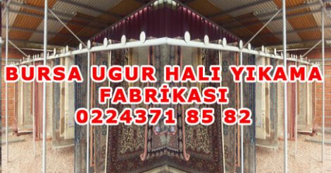 Bursa Uğur Halı Yikama Fabrikası