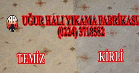 Bursa Uğur Halı Yikama Fabrikası