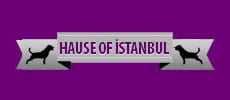 İstanbul Köpek Pansiyonu