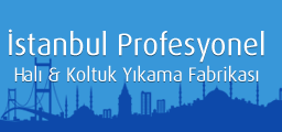 İstanbul Profesyonel Halı Koltuk Yıkama