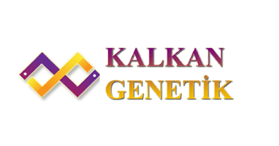 Kalkan Genetik | Büyükbaş Hayvan İthalatı