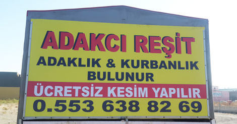 Adakcı Reşit | Kayseri Adaklık Kurbanlık