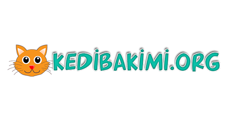 Kedi Bakımı | kedibakimi.org