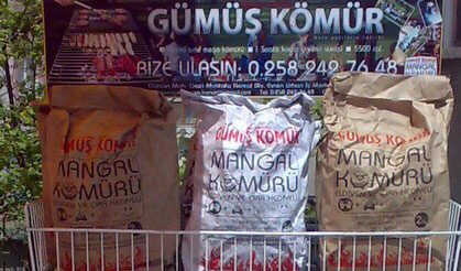 Gümüş Kömür