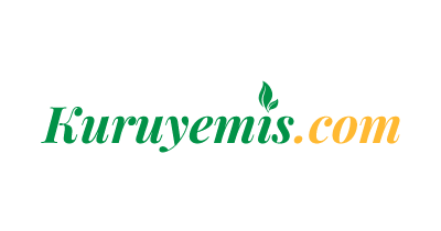 Kuruyemis.com