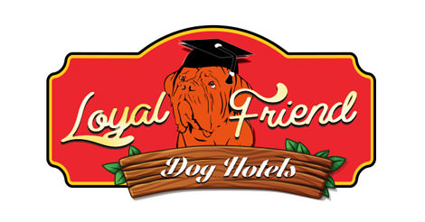 Loyal Friend | Köpek Oteli ve Eğitimi